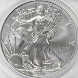 2013-W BURNISHED AMERICAN SILVER EAGLE