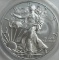 2012-W BURNISHED AMERICAN SILVER EAGLE