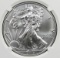 2019 AMERICAN SILVER EAGLE