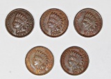 (5) INDIAN HEAD CENTS