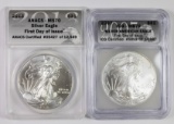 2013 AND 2007 AMERICAN SILVER EAGLES