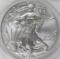 2013-W AMERICAN SILVER EAGLE