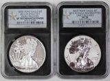 2013 AMERICAN SILVER EAGLE TWO-PIECE SET