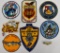 Grouping of Modern Era US Navy Patches and Wings