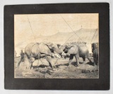 Antique Circus Photograph Elephants Ming and Topsey Photograph 1903