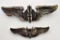 Group WWII US Army Air Corps Bomber Pilot Wings