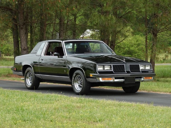 1986 Oldsmobile Cutlass Salon