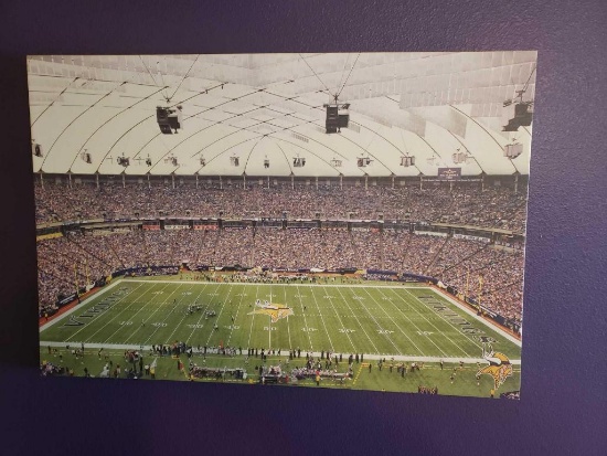 Minnesota Vikings Vinyl Stadium Pictures