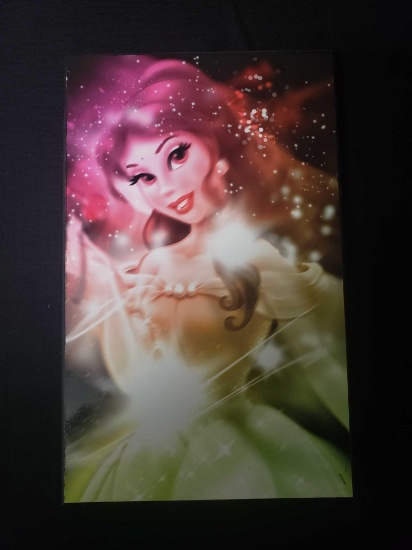 DISNEY PRINCESS wall artwork