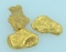 Gold Nuggets