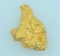 Gold Nugget