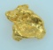 Gold Nugget