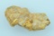 Gold Nugget with Quartz