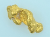 Gold Nugget