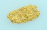 Gold Nugget