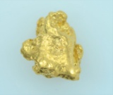 Gold Nugget