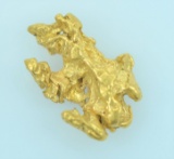 Gold Nugget