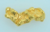 Gold Nugget