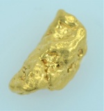 Gold Nugget