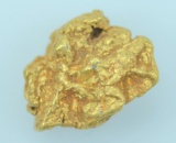 Gold Nugget