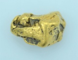 Gold Nugget