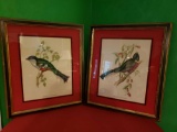 Bird Art Prints, framed 22x19