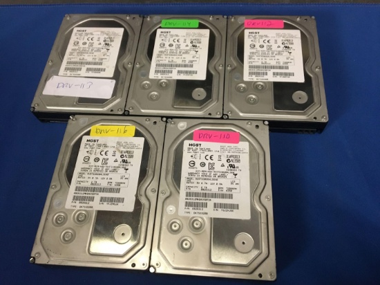 Five HGST 2TB Capacity Hard Drives