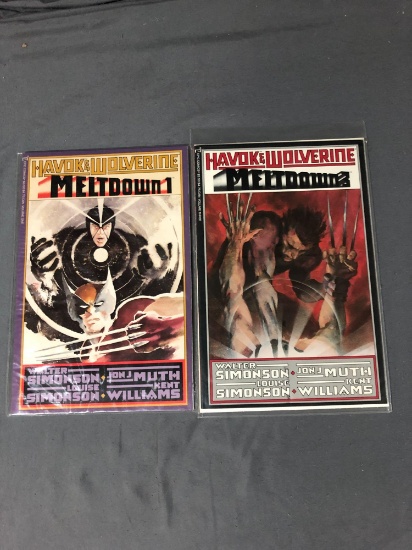 Havok & Wolverine Meltdown