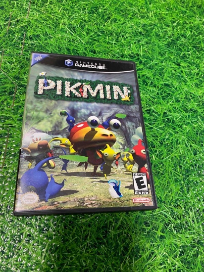 Pikman Gamecube