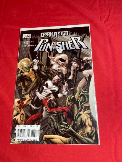 Punisher Dark Reign