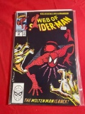 Web Of Spider-Man