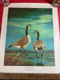 Signed Water Fowl Print