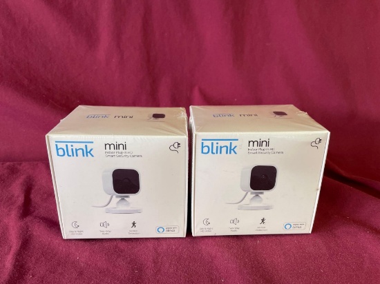 Blink Indoor HD Cameras NIp (2)