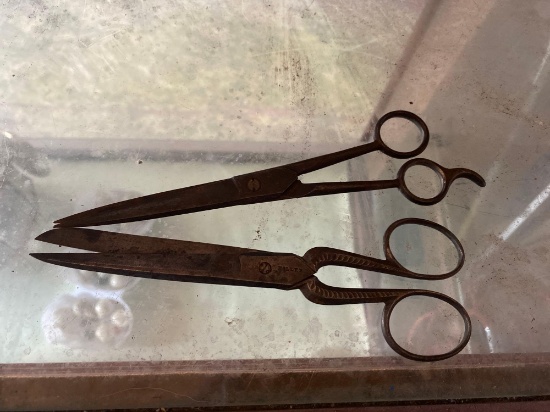 Pair Of Vintage Scissors
