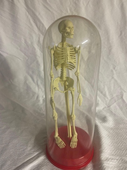 Encased Skeleton
