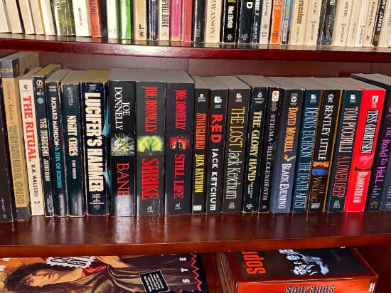 24 Assorted Paperback Horror Novels