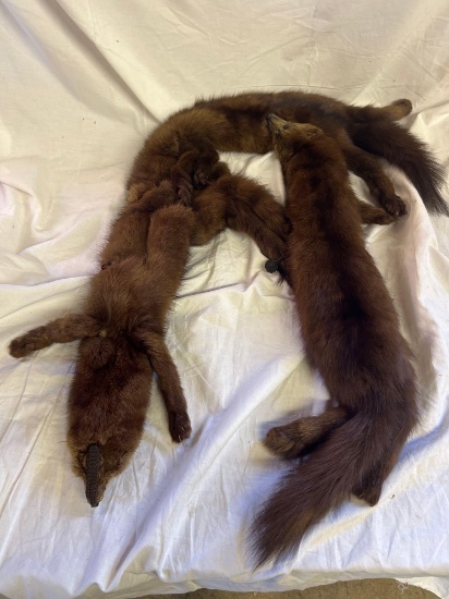 Authentic Toledo Ohio Fur Scarf