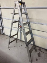 Aluminum Ladder