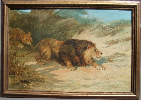 1902 Stalking Lions Lithograph by Haywood Hardy