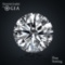 1.00 ct, Color E/VS1, Round cut Diamond