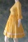 Vintage 1960s Ladies Summer Gingham Day Dress