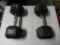 Pair of 30lbs Dumbells. NO SHIPPING