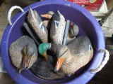 12 Decoy Ducks. NO SHIPPING