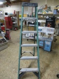 6ft Werner ladder