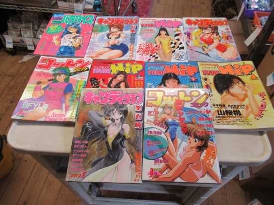 10 Adult Japanese Comics