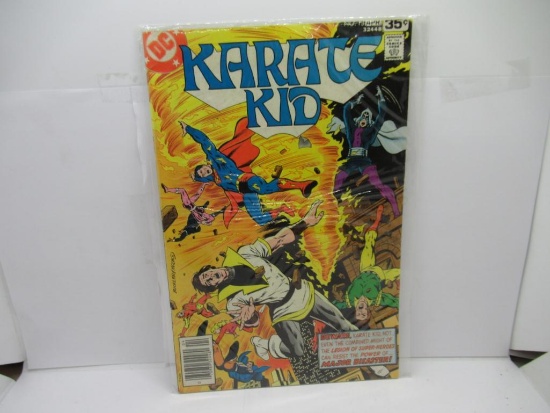 DC COMICS KARATE KID #13