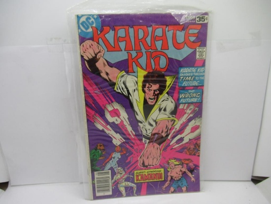 DC COMICS KARATE KID #15