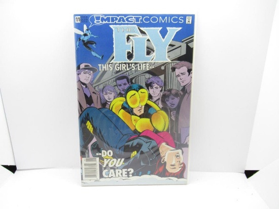 IMPACT COMICS THE FLY #11