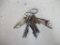 Skeleton keys
