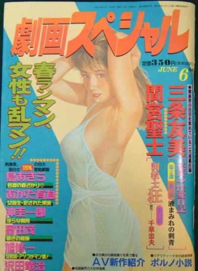 Hentai Adult Manga Comic Book Magazine - Japanese Text